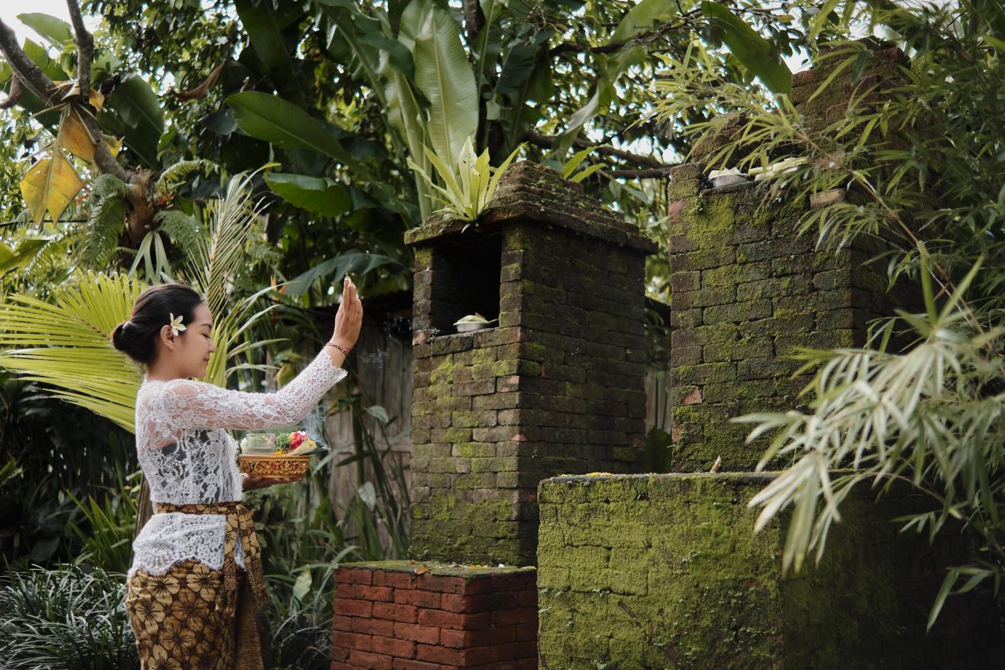 Joglo Organik Guesthouse Ubud  Exterior photo
